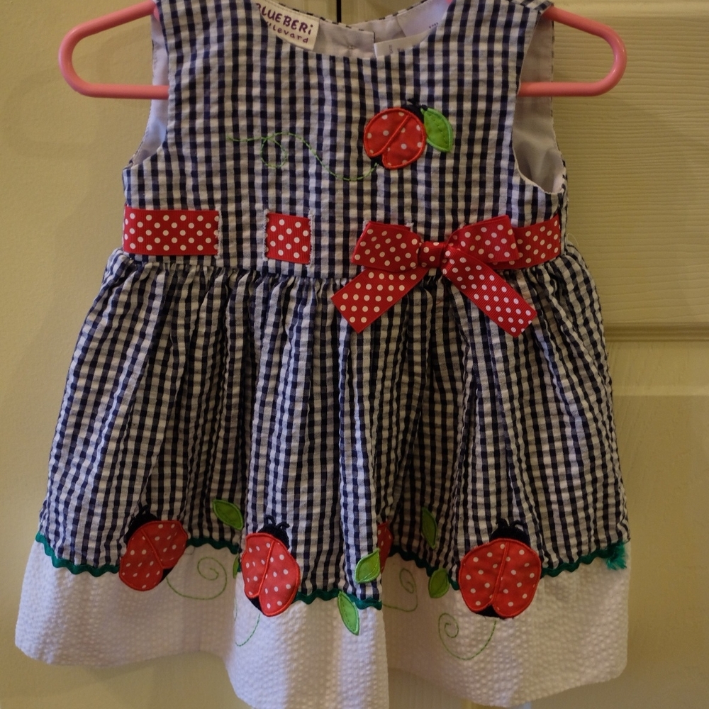 Blueberi Boulevard Blue Gingham Dress with Red Accents